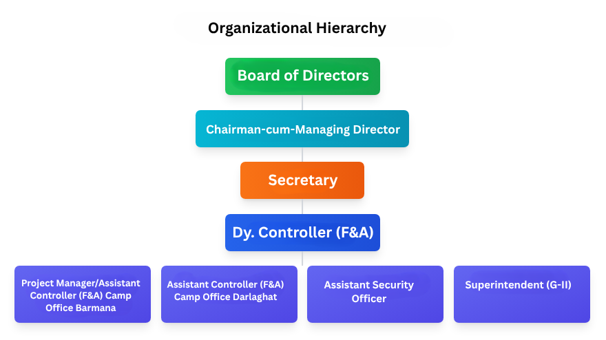 management strucutre